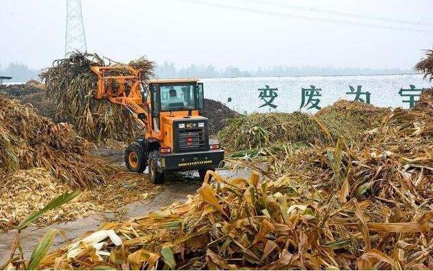 黑土地上的‘秸稈經(jīng)紀(jì)人’要讓秸稈牛起來，變成‘寶’