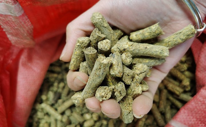 秸稈顆粒機就是將粉碎后的秸稈制成顆粒飼料，用于飼喂牛羊